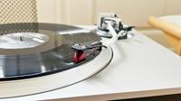 Ortofon 2M Red Premounted element - thumbnail