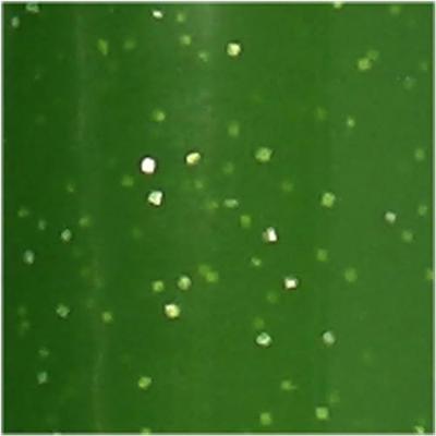 Creativ Company Glas- en porseleinstift glitter semi-dekkend - lichtgroen Creativ Company Glas- en porseleinstift glitter semi-dekkend - lichtgroen