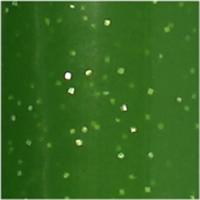 Creativ Company Glas- en porseleinstift glitter semi-dekkend - lichtgroen - thumbnail