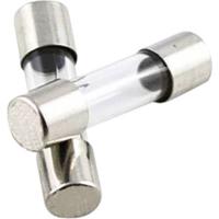 TRU COMPONENTS 1576488 TC-520609 Buiszekering (Ø x l) 5 mm x 20 mm 0.16 A 250 V Snel -F- Inhoud 1 stuk(s) - thumbnail