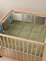 Bedomrander/boxomrander MINISAURUS meerkleurig - thumbnail