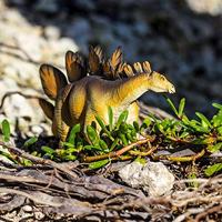 Safari speelfiguur Stegosaurus junior 20,5 x 9,5 cm bruin - thumbnail