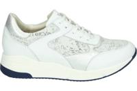 Verhulst 2301 H - alle - thumbnail