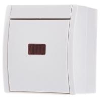 Busch-Jaeger 2601/6 SKW-54 Ocean (opbouw) Wisselschakelaar spatwaterdicht Wit