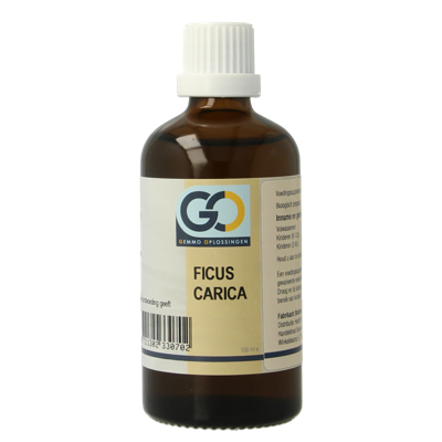 Ficus carica bio 100 Milliliter