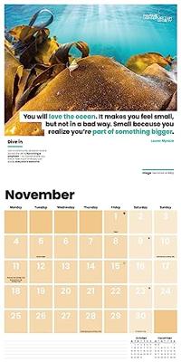 Sea Change Kalender 2024