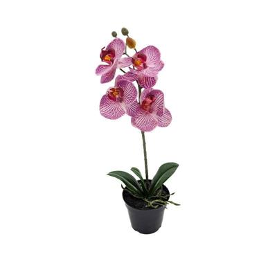 Phalaenopsis Orchidee in pot x1 50 cm Tiger Cerise kunstplant Buitengewoon de Boet - Buitengewoon de boet Phalaenopsis Orchidee in pot x1 50 cm Tiger Cerise kunstplant Buitengewoon de Boet - Buitengewoon de boet