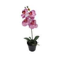 Phalaenopsis Orchidee in pot x1 50 cm Tiger Cerise kunstplant Buitengewoon de Boet - Buitengewoon de boet - thumbnail