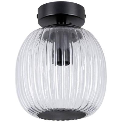 Paulmann 71145 Ruya Plafondlamp E14 Glas, Zwart (mat) Paulmann 71145 Ruya Plafondlamp E14 Glas, Zwart (mat)