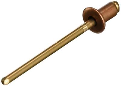 Gesipa 1433662 Popnagel (Ø x l) 4 mm x 6 mm Brons Koper 50 stuk(s)