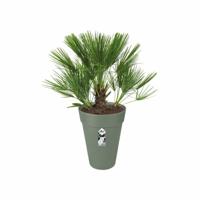 Elho loft urban bloempot rond hoog 35 cm Pistachegroen - thumbnail