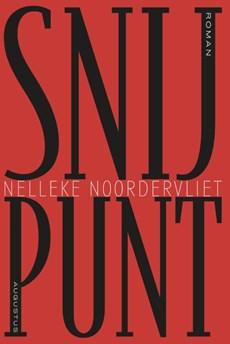 Snijpunt - Nelleke Noordervliet - ebook