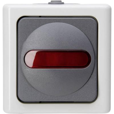 Kopp 561656007 BlueElectric Compleet Controleschakelaar spatwaterdicht Grijs 1 stuk(s)