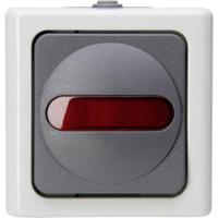 Kopp 561656007 BlueElectric Compleet Controleschakelaar spatwaterdicht Grijs 1 stuk(s) - thumbnail