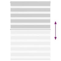 VidaXL Zebra rolgordijn 100x100 cm stofbreedte 95,9 cm lichtgrijs - thumbnail