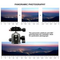 Sirui B-00K balhoofd zwart - thumbnail