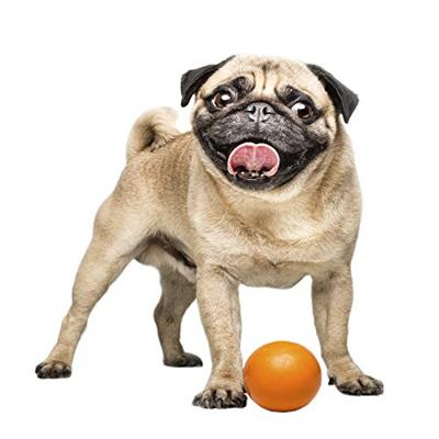 Hondenspeelgoed Gloria Rubber (8 cm)