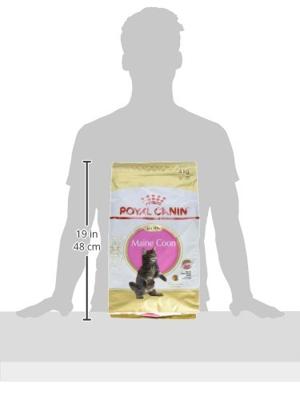 Royal Canin Maine Coon voer voor kitten 4kg