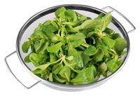 LURCH - Keukenhulpen - Vergiet op voet 25cm - thumbnail