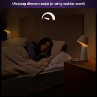 PHILIPS Hue W connected lamp - thumbnail