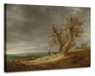 Schilderij - Jan van Goyen, Landschap met twee eiken, 1641, 90x70cm
