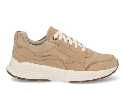 Xsensible 33200.4 wijdte H Golden Gate Men H Xsensible 33200.4 wijdte H Golden Gate Men H