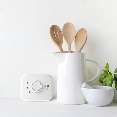 FireAngel NM-CO-10X-INT Koolmonoxidemelder Incl. batterij (10 jaar), Naar draadloos om te zetten werkt op batterijen Detectie van Koolmonoxide FireAngel NM-CO-10X-INT Koolmonoxidemelder Incl. batterij (10 jaar), Naar draadloos om te zetten werkt op batterijen Detectie van Koolmonoxide