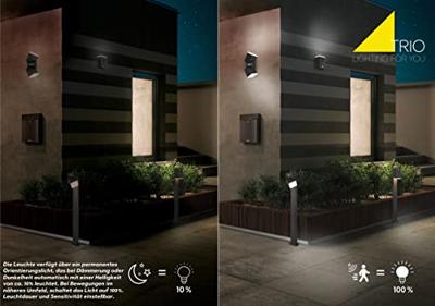 Trio Led buitenlampAvon met bewegingssensor - 270669242