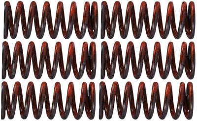 TRW koppelingsveren set clutch spring kit mef325-6