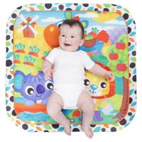 Playgro Giggly Garden muzikale speelkleed - thumbnail