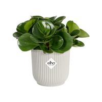 Vibes Fold Rond Mini dia 7 cm bloempot zijdewit elho - Elho - thumbnail