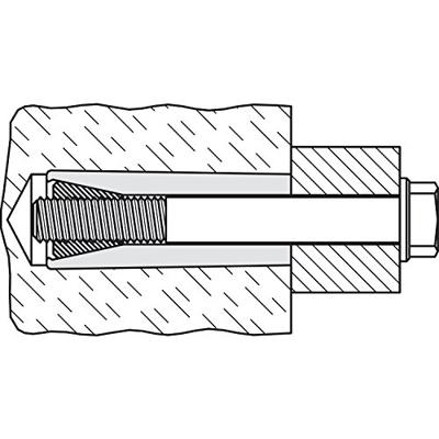 Fischer 50506 M 6 Plug 40 mm 12 mm 50 stuk(s)