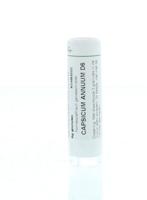 Homeoden Heel Capsicum annuum D6 6 Gram - thumbnail