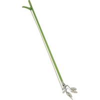 Vijvertang - thumbnail