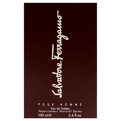 Salvatore Ferragamo Pour Homme Eau de Toilette