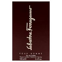 Salvatore Ferragamo Pour Homme Eau de Toilette - thumbnail