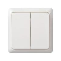 ELSO serieschakelaar 511504 10A complete RENOVATIE rw Wit 1 stuk(s) - thumbnail