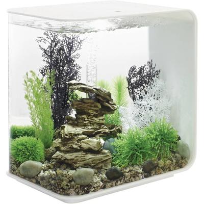Oase 72034 biOrb FLOW 30 LED weiß Aquarium 30 l Met LED-verlichting