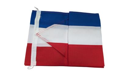 Nederlandse Wimpel 300cm