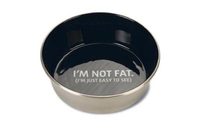 Beeztees Voer- en Drinkbak Not Fat - Hond - RVS - Zwart - 16cm