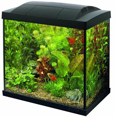 Superfish Start 30 tropical kit zwart