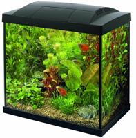 Superfish Start 30 tropical kit zwart - thumbnail