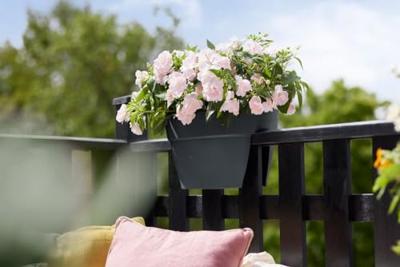 Elho Balkonbak Vibia Campana flower bridge 40cm Antraciet - thumbnail