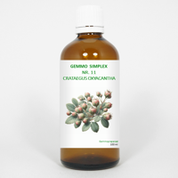 Balancepharma Gemmo simplex 11 crataegus oxyacantha 100 Milliliter - thumbnail