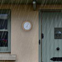 NeXtime NE-4302BR Buitenthermometer 22CM Metaal Bruine Lily - thumbnail