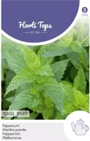 Zaden Pepermunt Hortitops - Hortitops - thumbnail