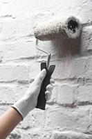 Werkzeyt Renovatieset 17Dlg - B21626 - thumbnail