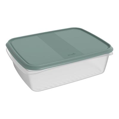 Rotho ELEMENTS Koelkast Bewaardoos 31x24x10 cm 5L Mistletoe Groen/Transparant Rotho ELEMENTS Koelkast Bewaardoos 31x24x10 cm 5L Mistletoe Groen/Transparant