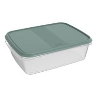 Rotho ELEMENTS Koelkast Bewaardoos 31x24x10 cm 5L Mistletoe Groen/Transparant - thumbnail