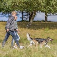 TRIXIE HONDENRIEM RUSTIC SLEEPLIJN VETLEER DONKERBRUIN 10 MTRX0,8 CM - thumbnail